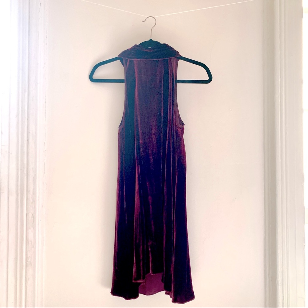 Aritzia Wilfred Burgundy Velvet A-Line Dress